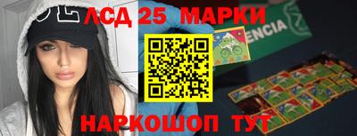 гидра Брянск
