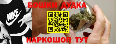 гидра Брянск