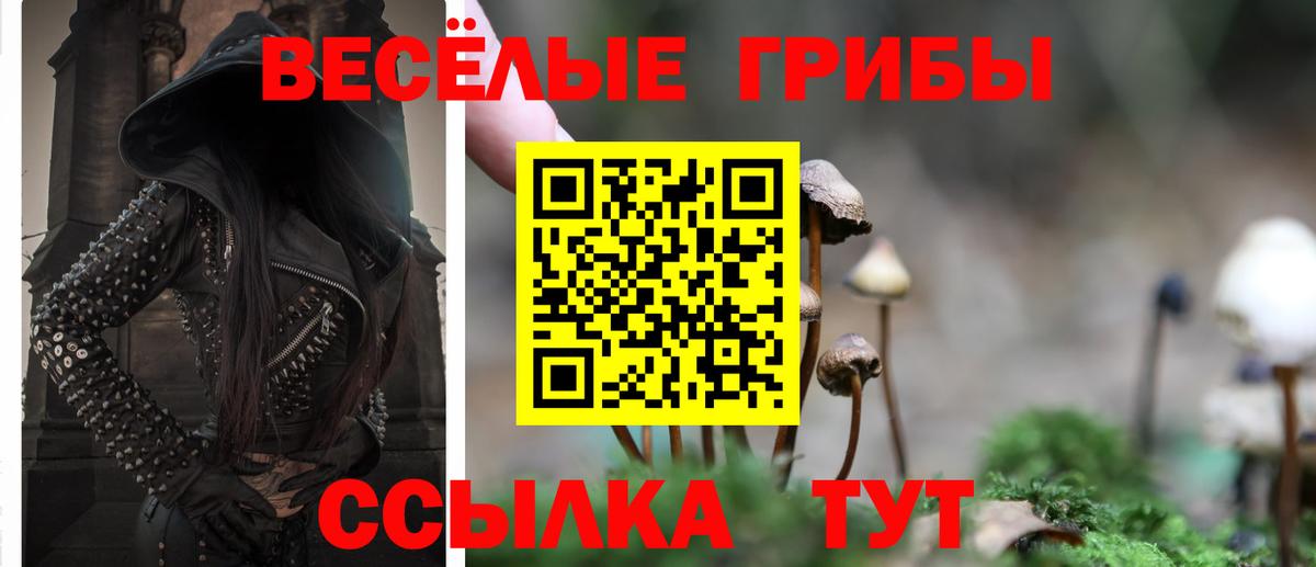 где найти наркотики  Вход с VPN  Владимир  Псилоцибиновые грибы мухоморы 